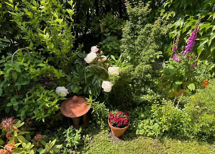 Bed & Breakfast Domus Purpurea *