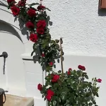 Domus Purpurea *