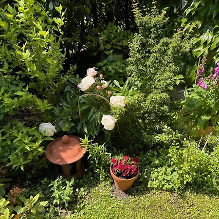 Bed & Breakfast Domus Purpurea *